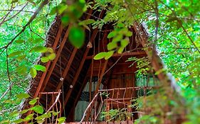 Habarana Tree House Ambasewana Resort